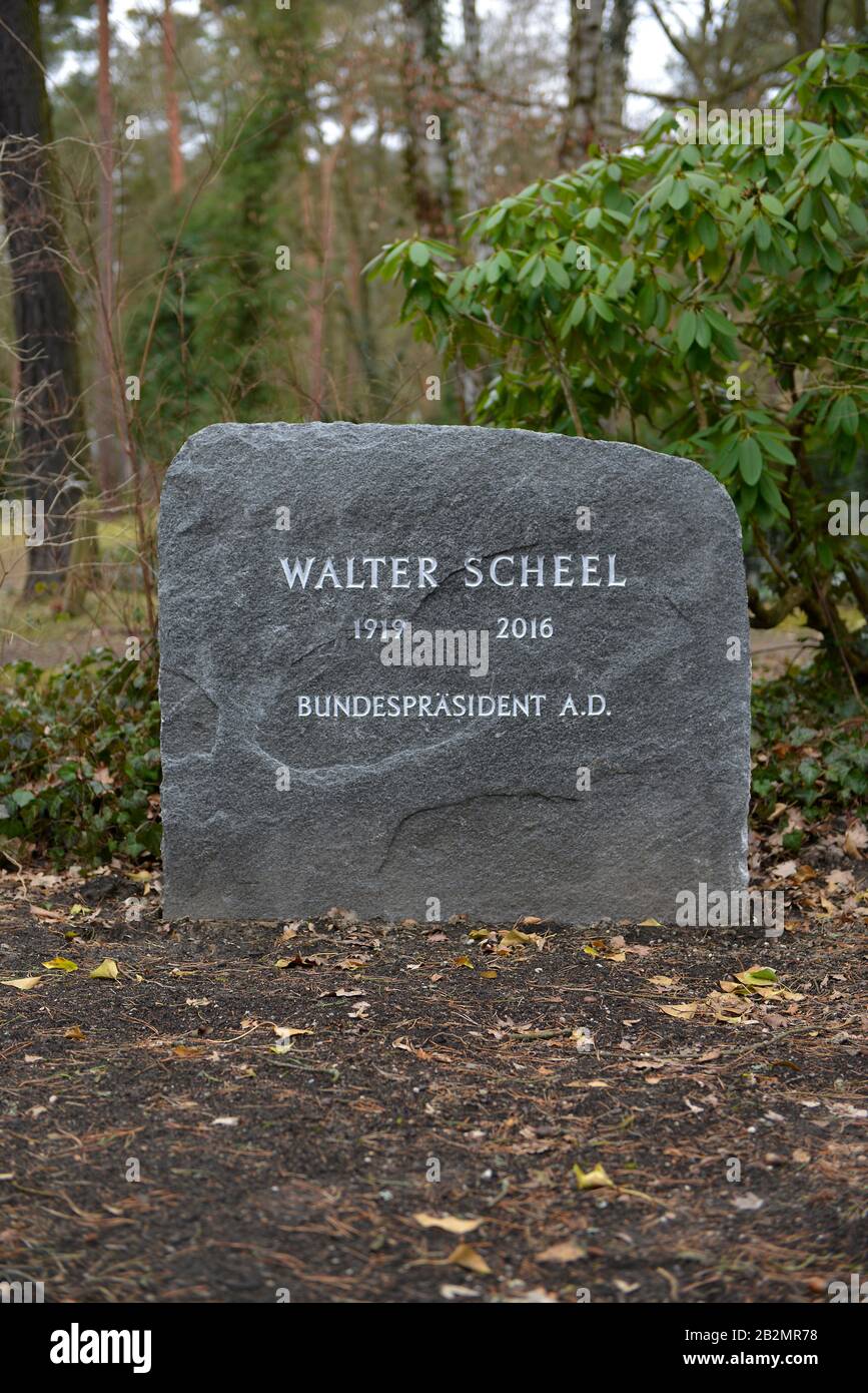 Grabmal, Walter Scheel, Waldfriedhof, Potsdamer Chaussee, Zehlendof, Berlin, Deutschland Stock Photo