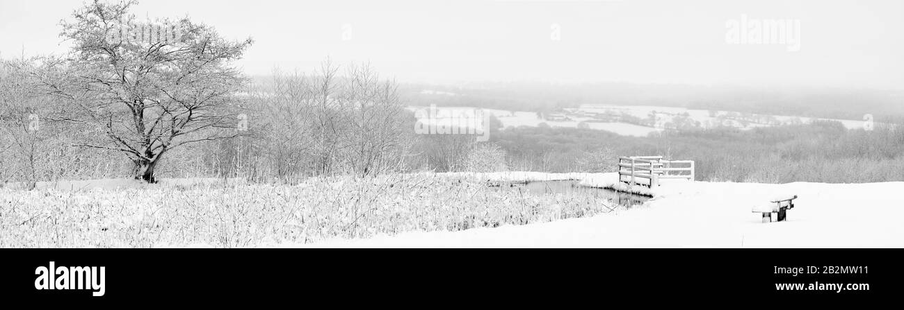 Panoramic winter landscape of English countryside in black & white / mono with tree pond & woodland beyond Stock Photo