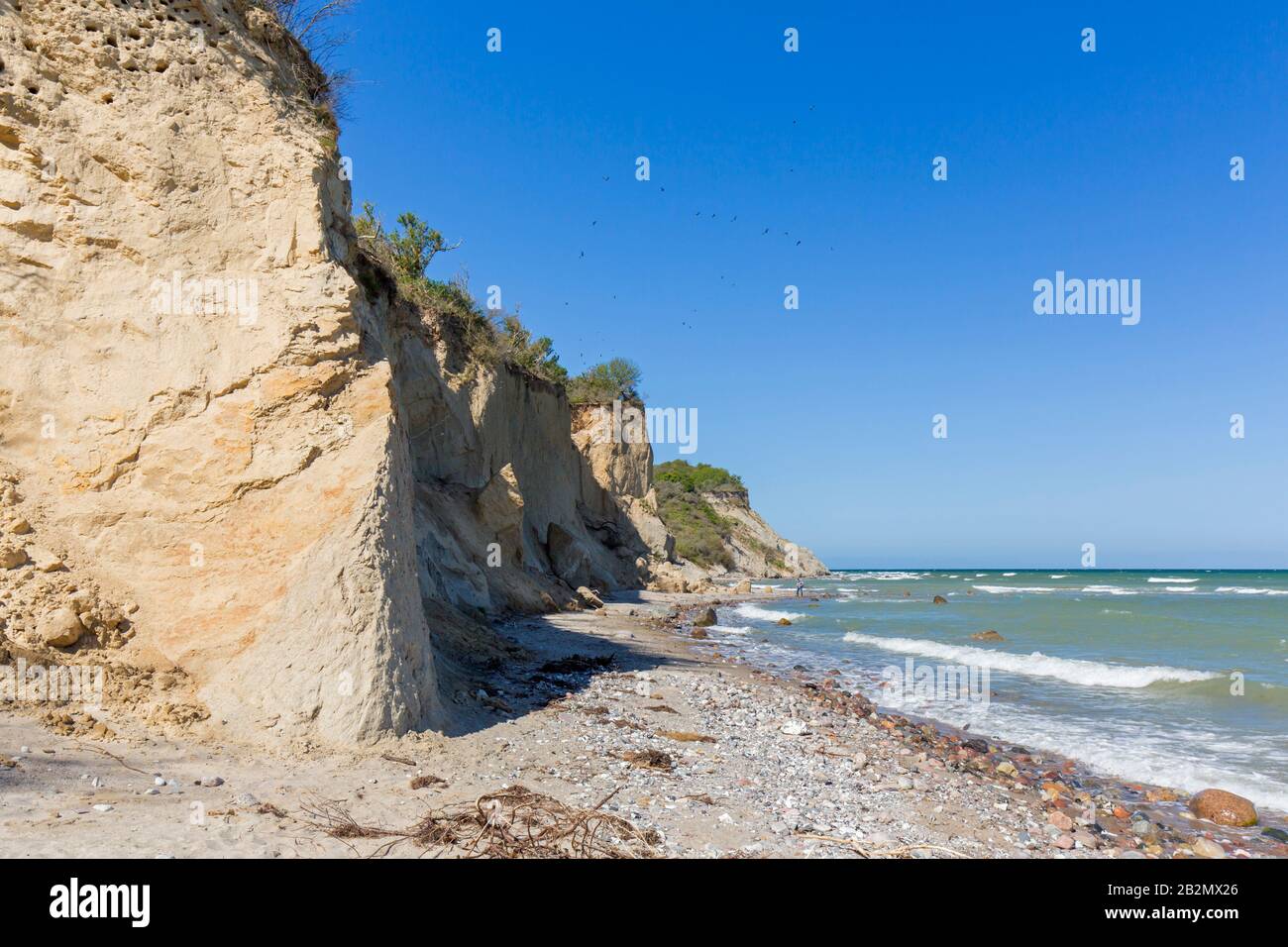 Eroded sea cliff on the island Hiddensee, Western Pomerania Lagoon Area National Park, Mecklenburg-Vorpommern, Germany Stock Photo