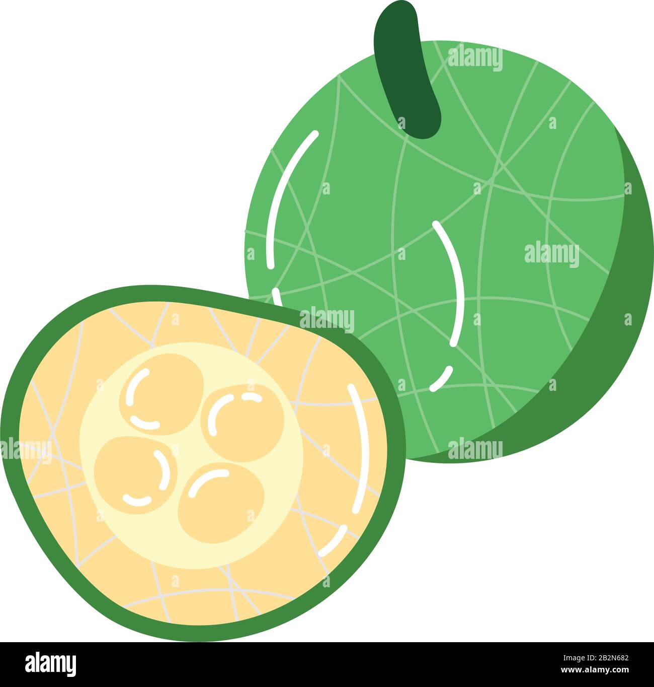 sour guava exotic fruit flat style Stock Vector Image & Art Alamy