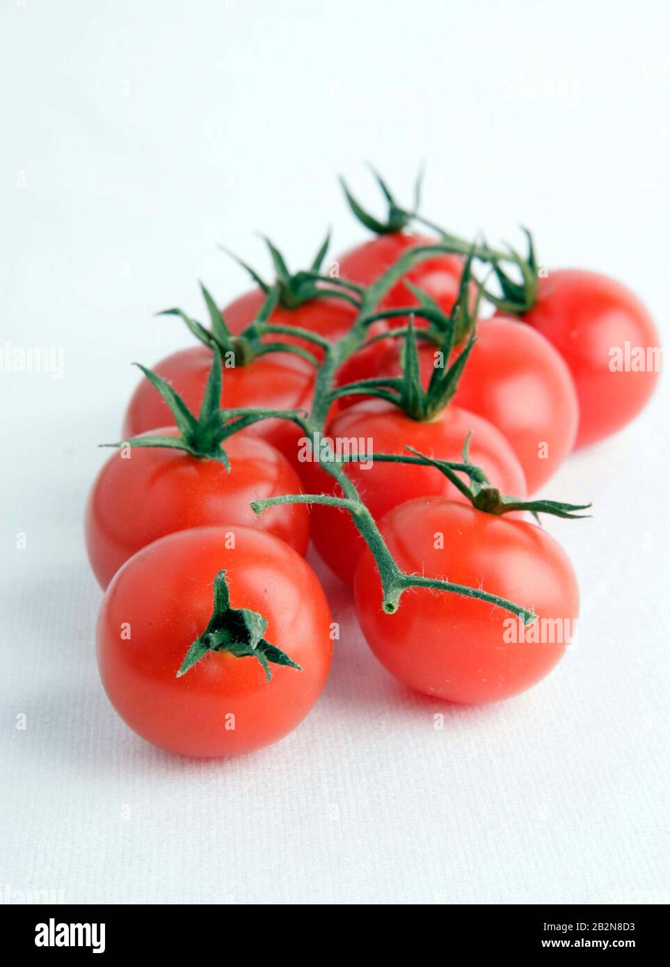 cherry vine tomatoes on white background Stock Photo