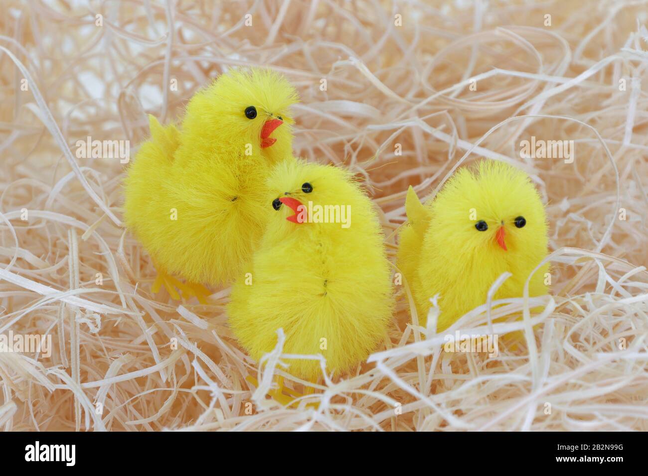Three Easter chicks in a straw bed Stock Photo Alamy