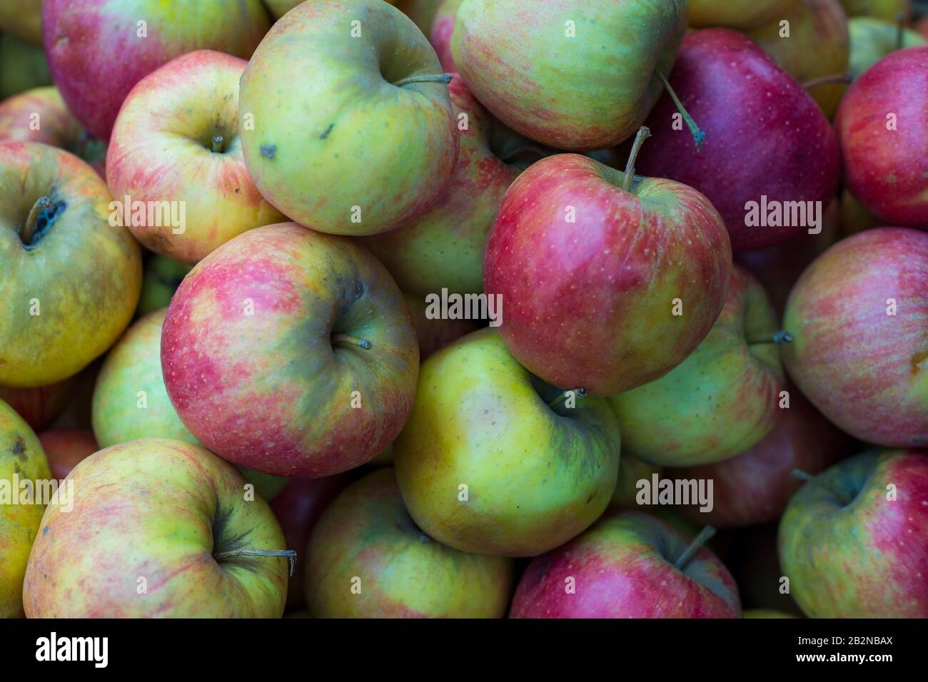 Red apples top view texture of apples. Red and green apples, dirty, on a market counter Stock