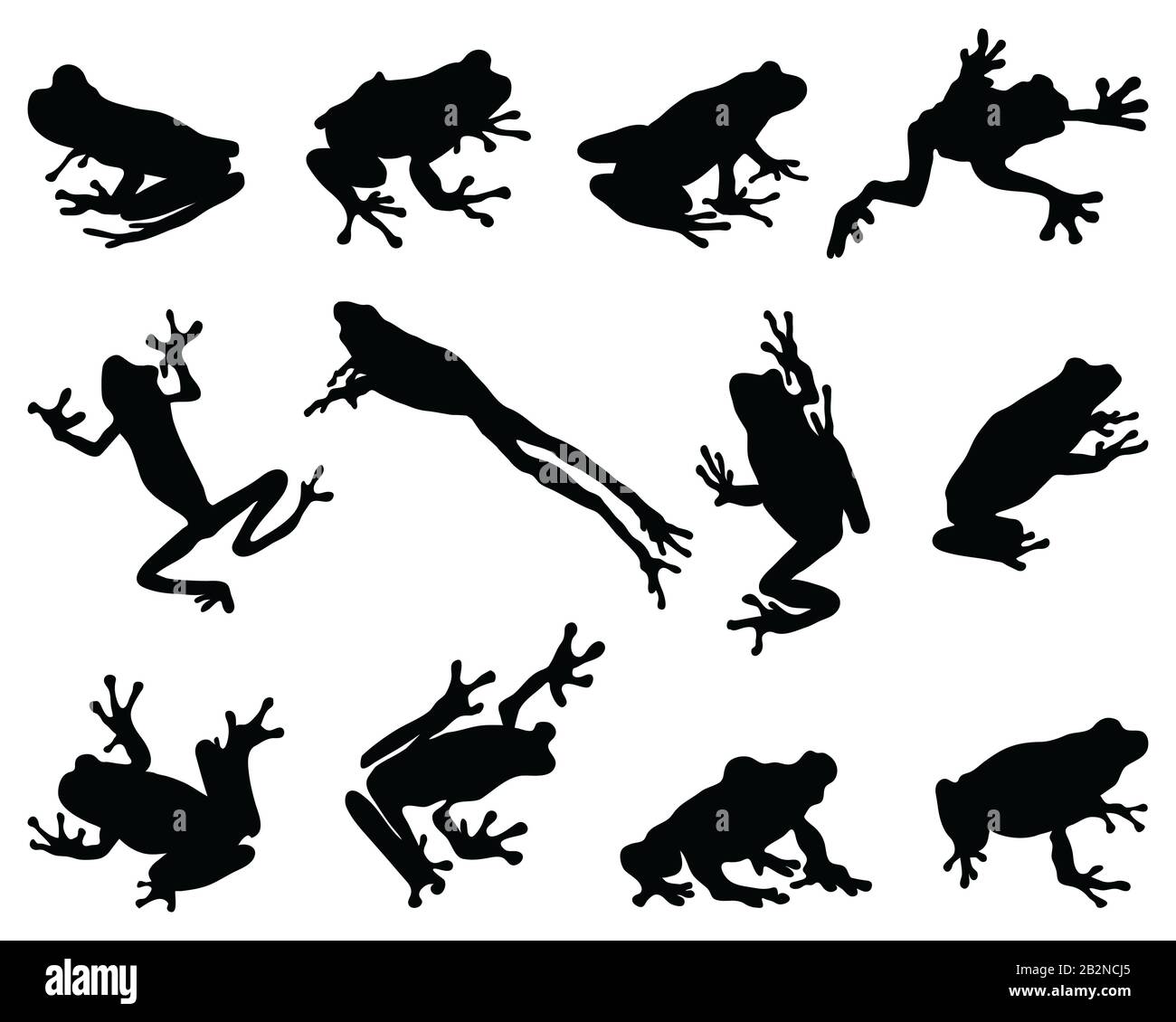 Black silhouettes of frog on a white background Stock Photo
