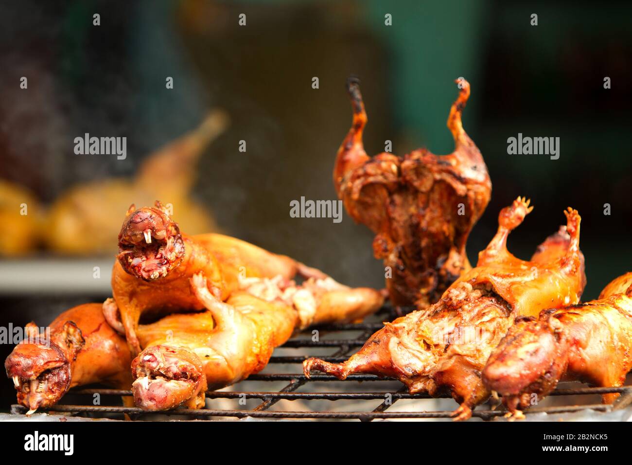 Roasted Guinea Pig Also Called Cui Traditional Food In Ecuador Stock