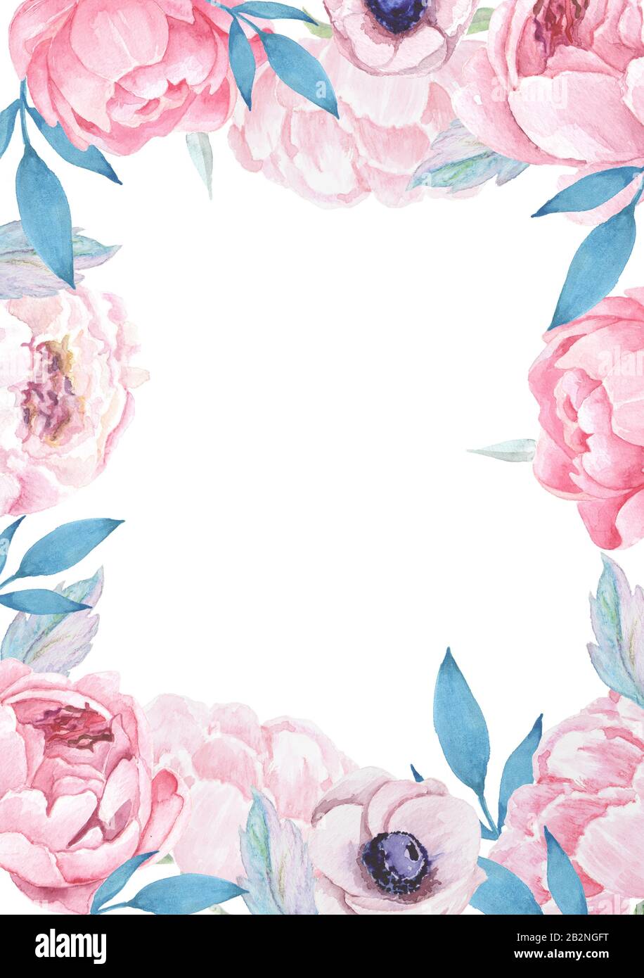 Pink peonies with green leaves on white background Stock Photo - Alamy