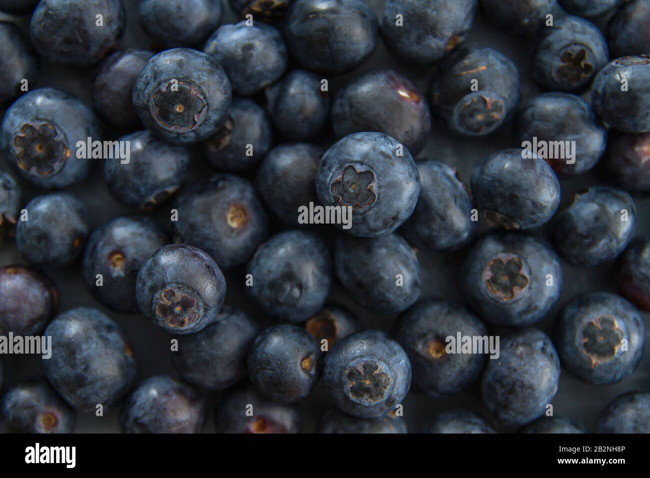 Fresh close up grungy hi-res stock photography and images - Alamy