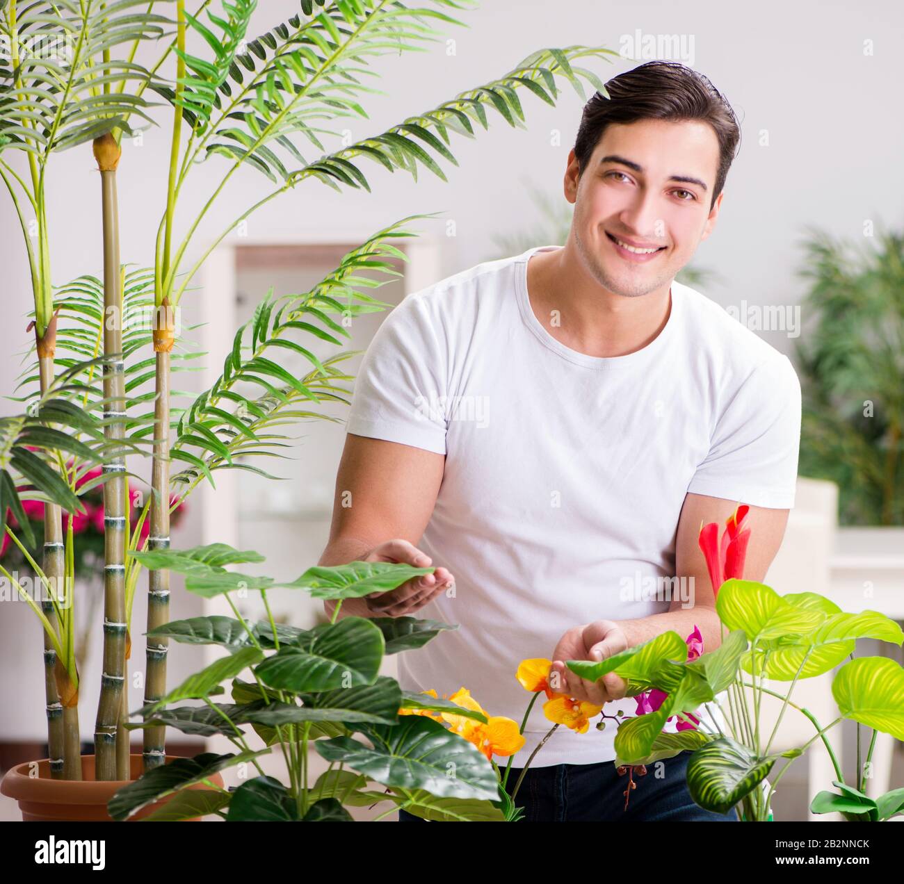 The man taking care of plants at home Stock Photo Alamy