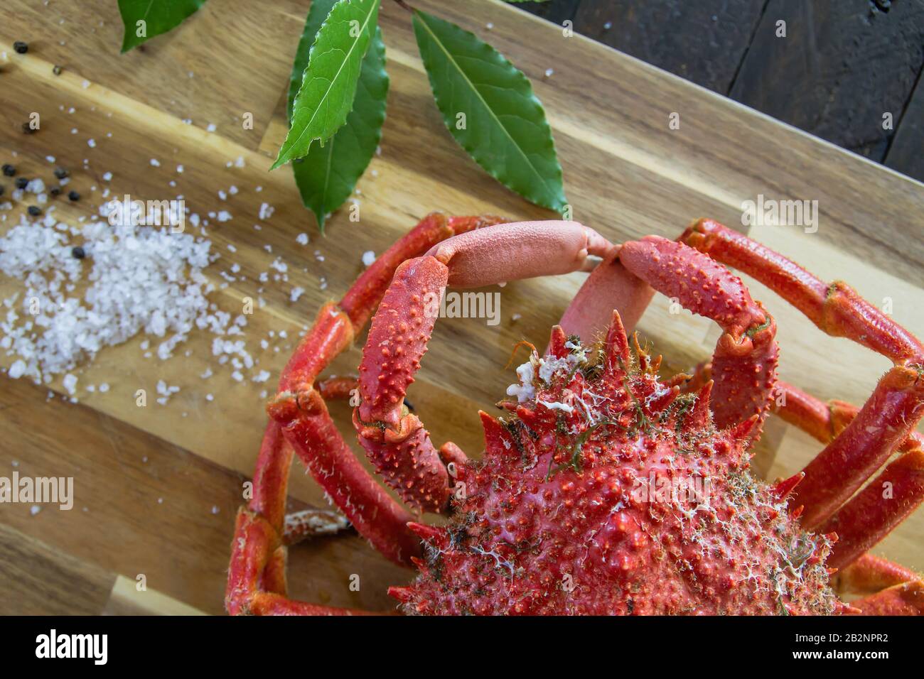 Red spiny spider crab, delicidous seafood preparation Stock Photo