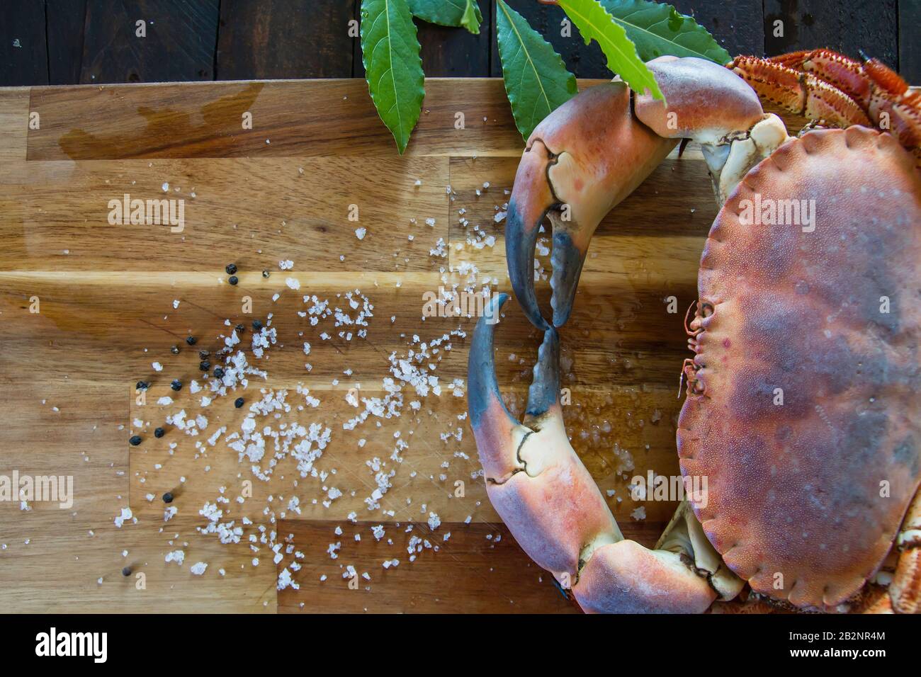 Fresh edible brown crab on the wooden kitchen board, cooking delicious seafood Stock Photo