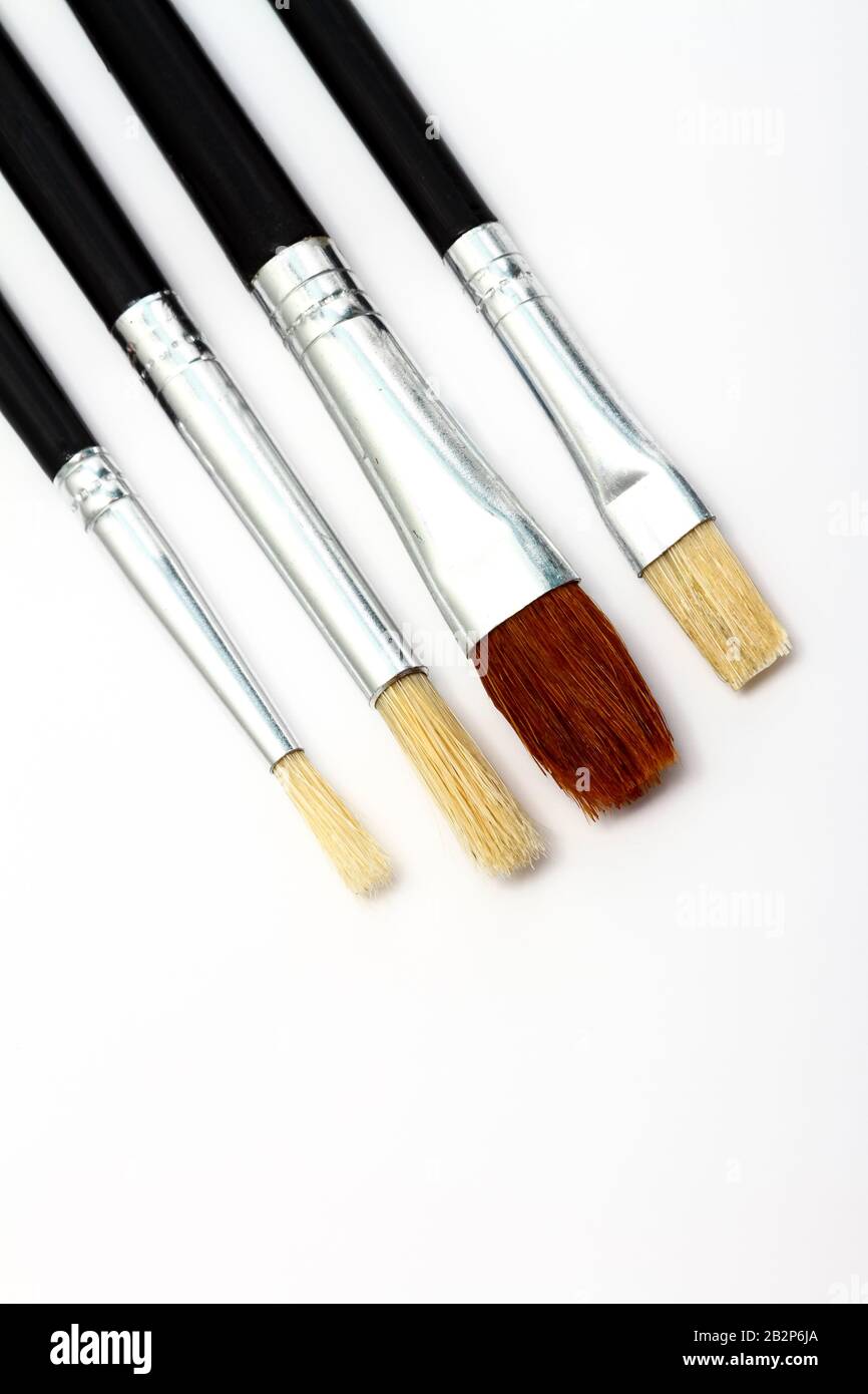 Four artists brushes isolated on a white background Stock Photo