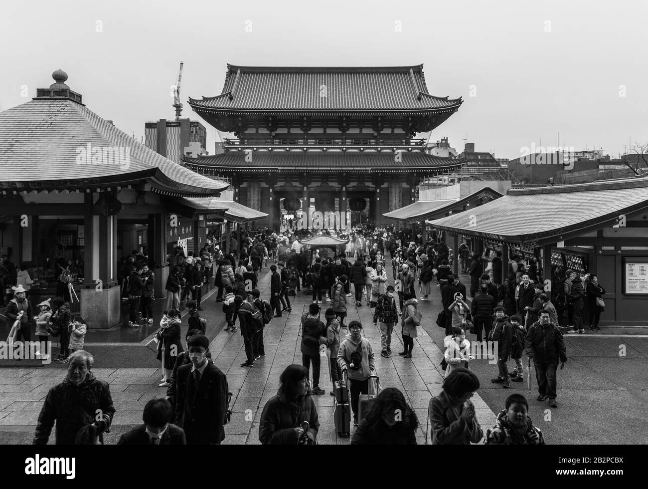 A black and white picture of the Sensō-ji Temple (Tokyo). Stock Photo