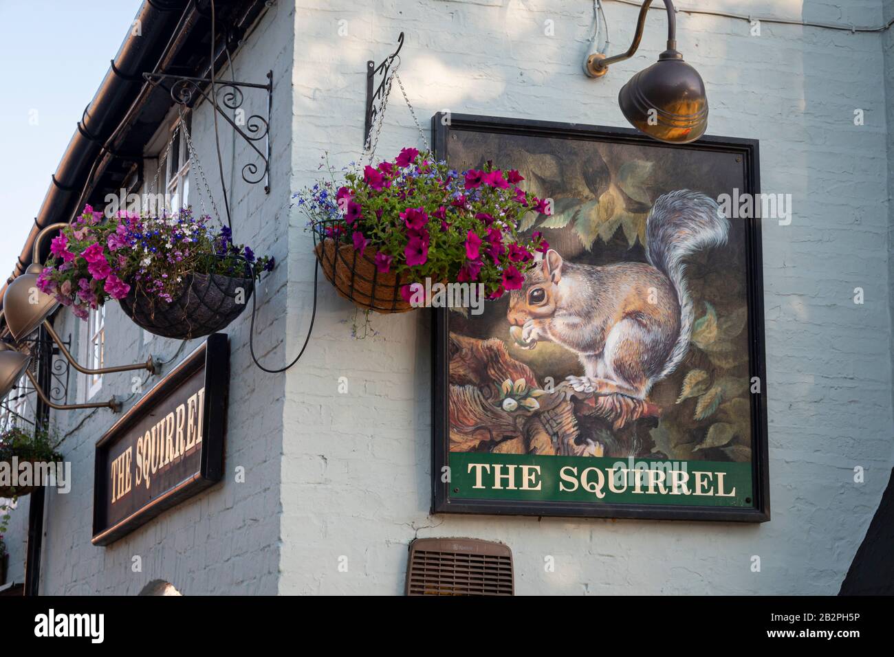 The Squirrel, pub sign in Rugby, Warwickshire, England Stock Photo Alamy