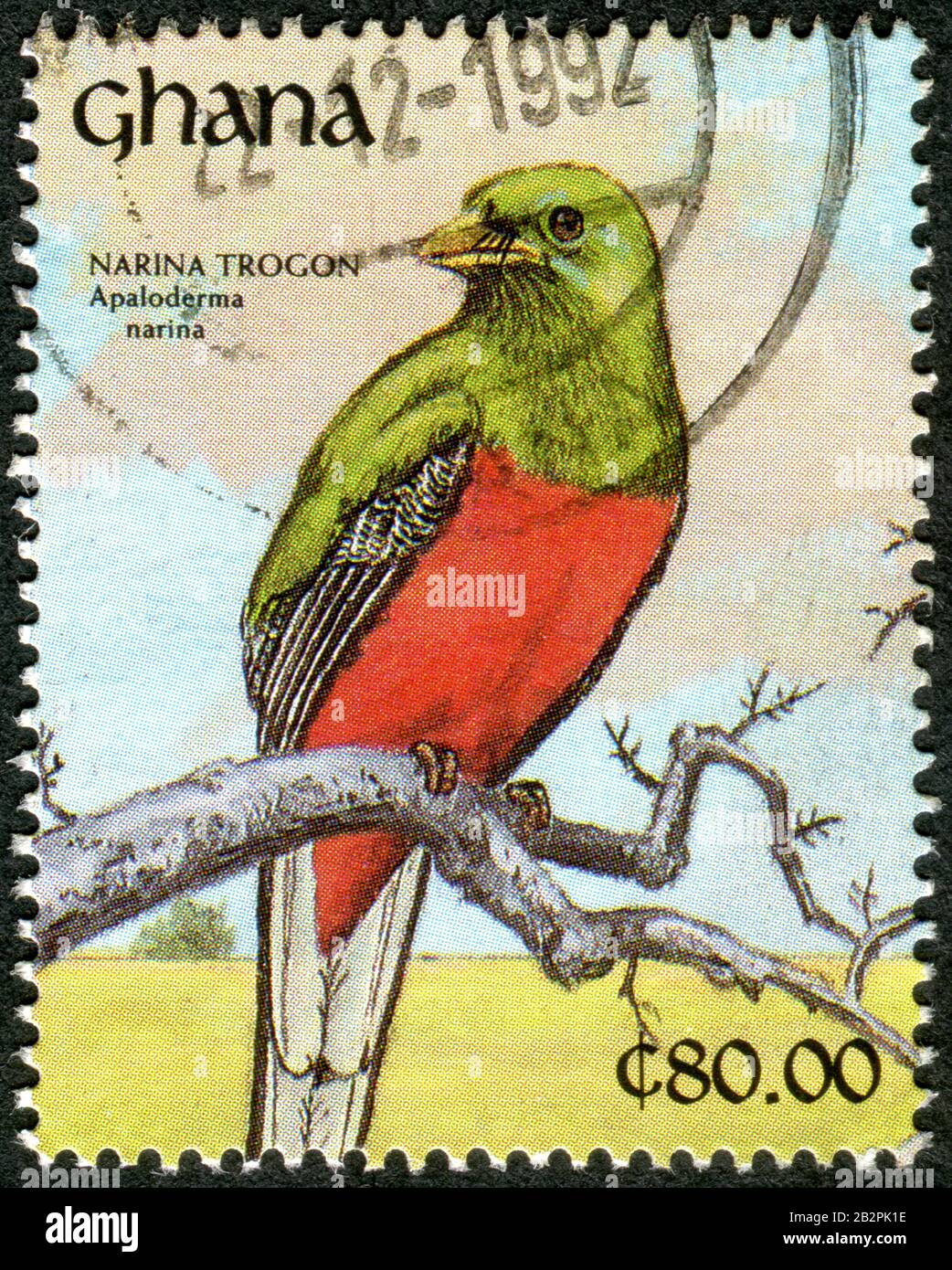 GHANA - CIRCA 1991: A stamp printed in Ghana, depicted the bird of Narina Trogon (Apaloderma narina), circa 1991 Stock Photo
