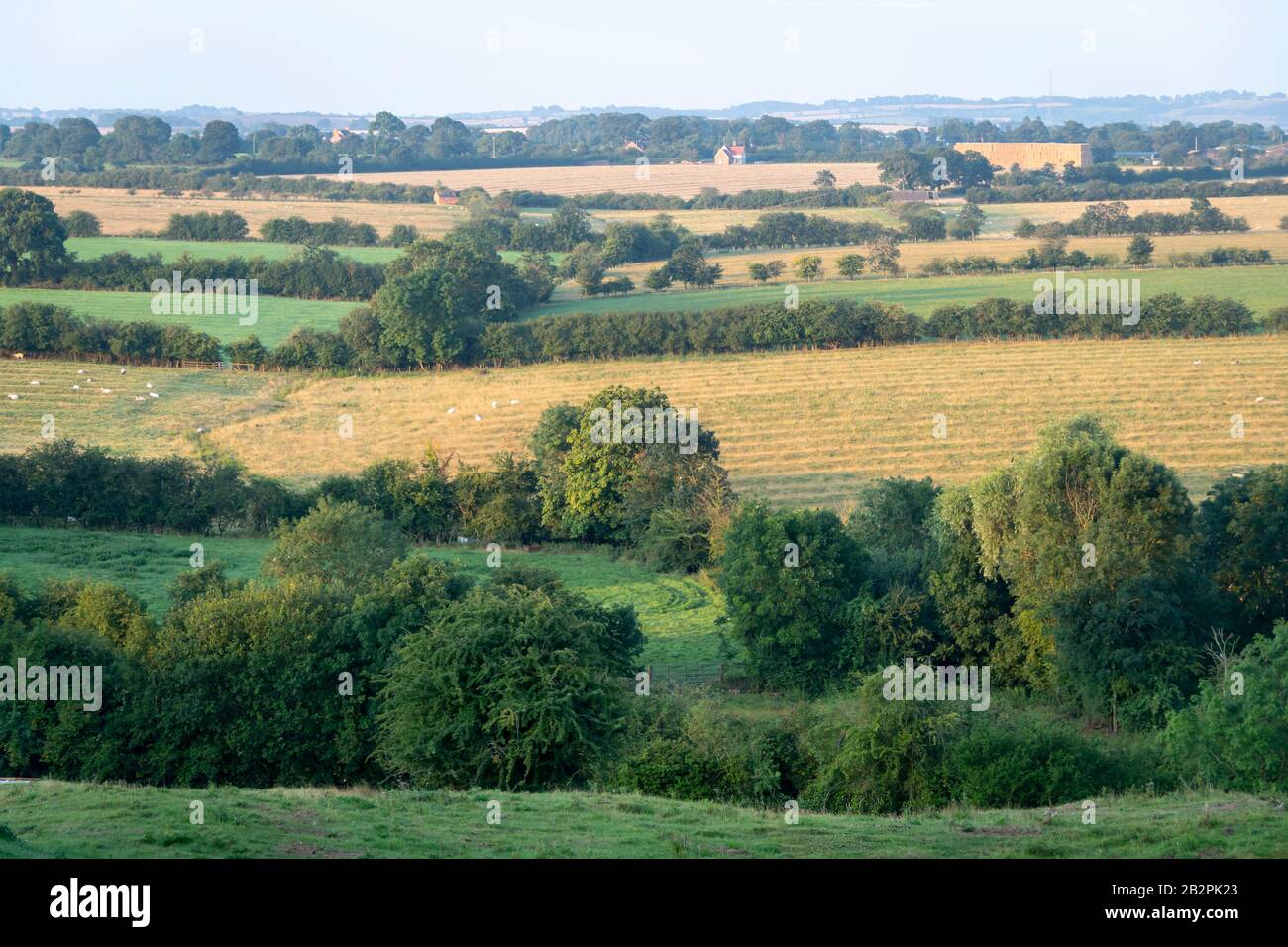 fields on rolling hills, Napton on the Hill, near Rugby, Warwickshire, England Stock Photo