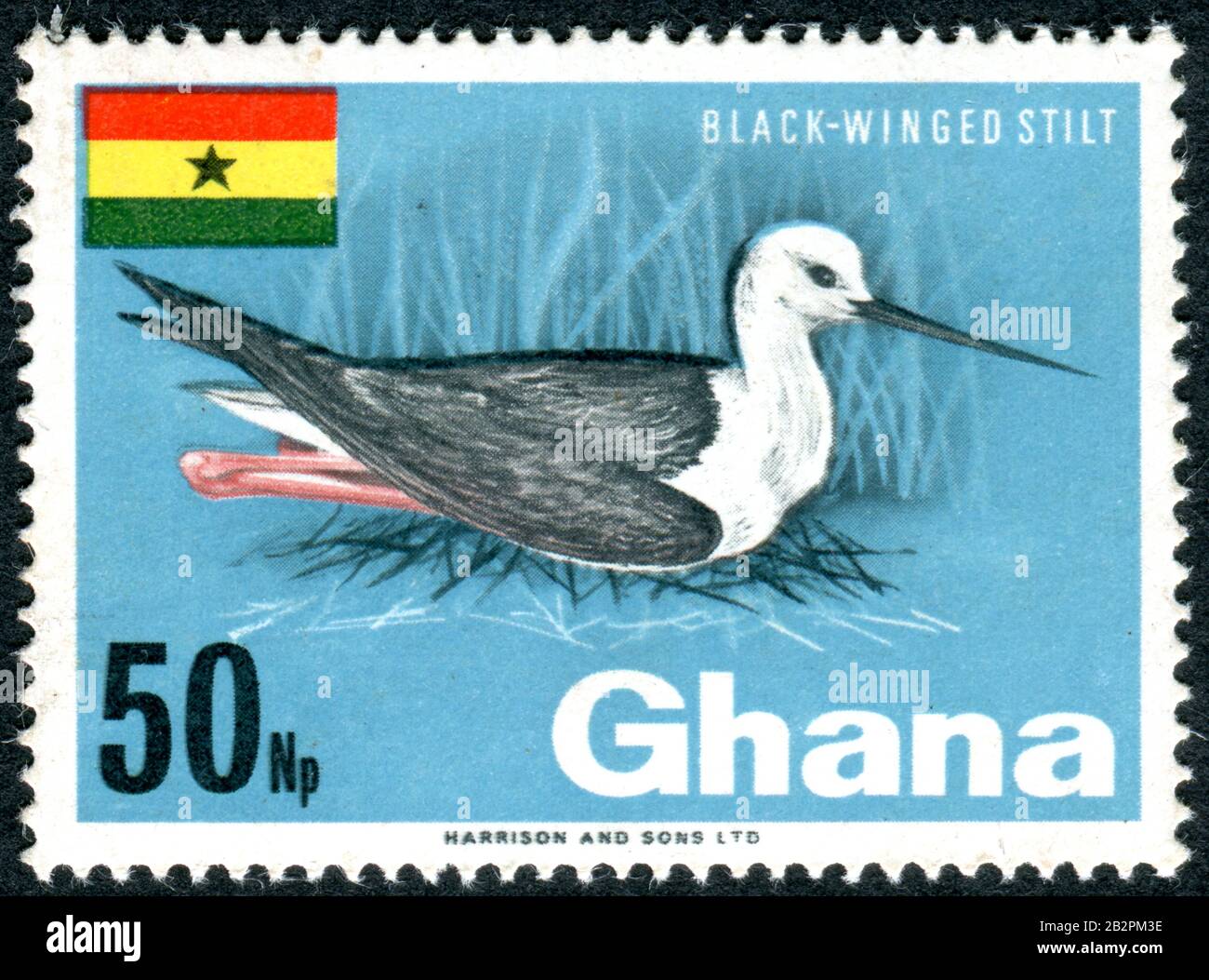 GHANA - CIRCA 1967: A stamp printed in Ghana, depicted the Black-winged Stilt (Himantopus himantopus), circa 1967 Stock Photo