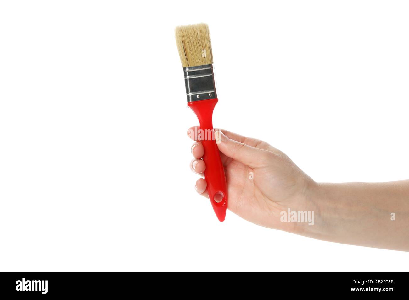 Female hand hold paint brush, isolated on white background Stock Photo