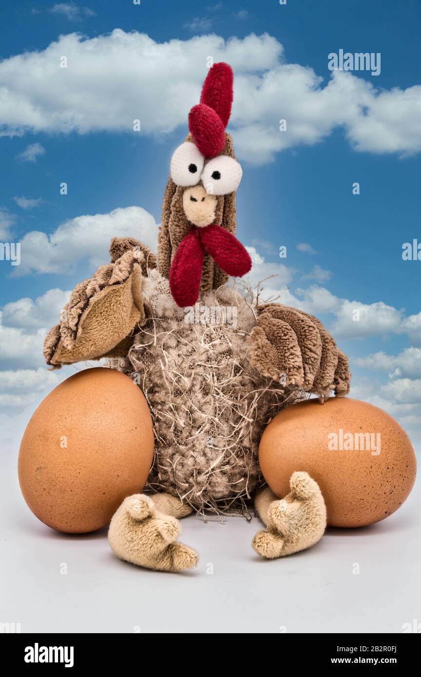 Plush chicken with eggs Stock Photo