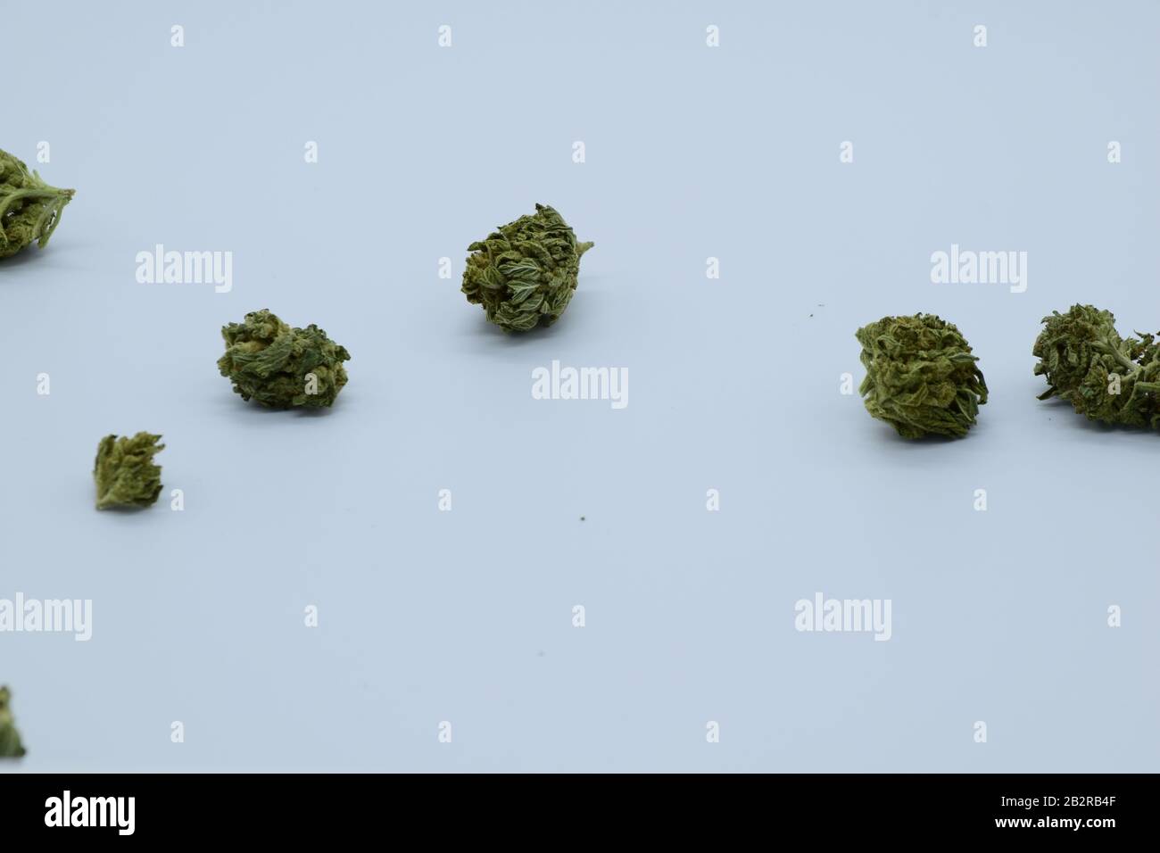 Close Up Of Dense Marijuana Buds With Trichomes Against White Background Stock Photo