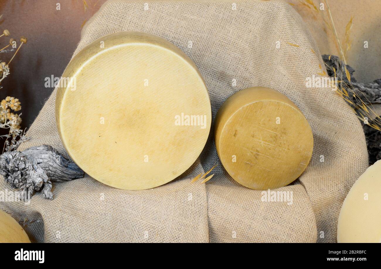 Two cheeses with brown cloth background. Stock Photo