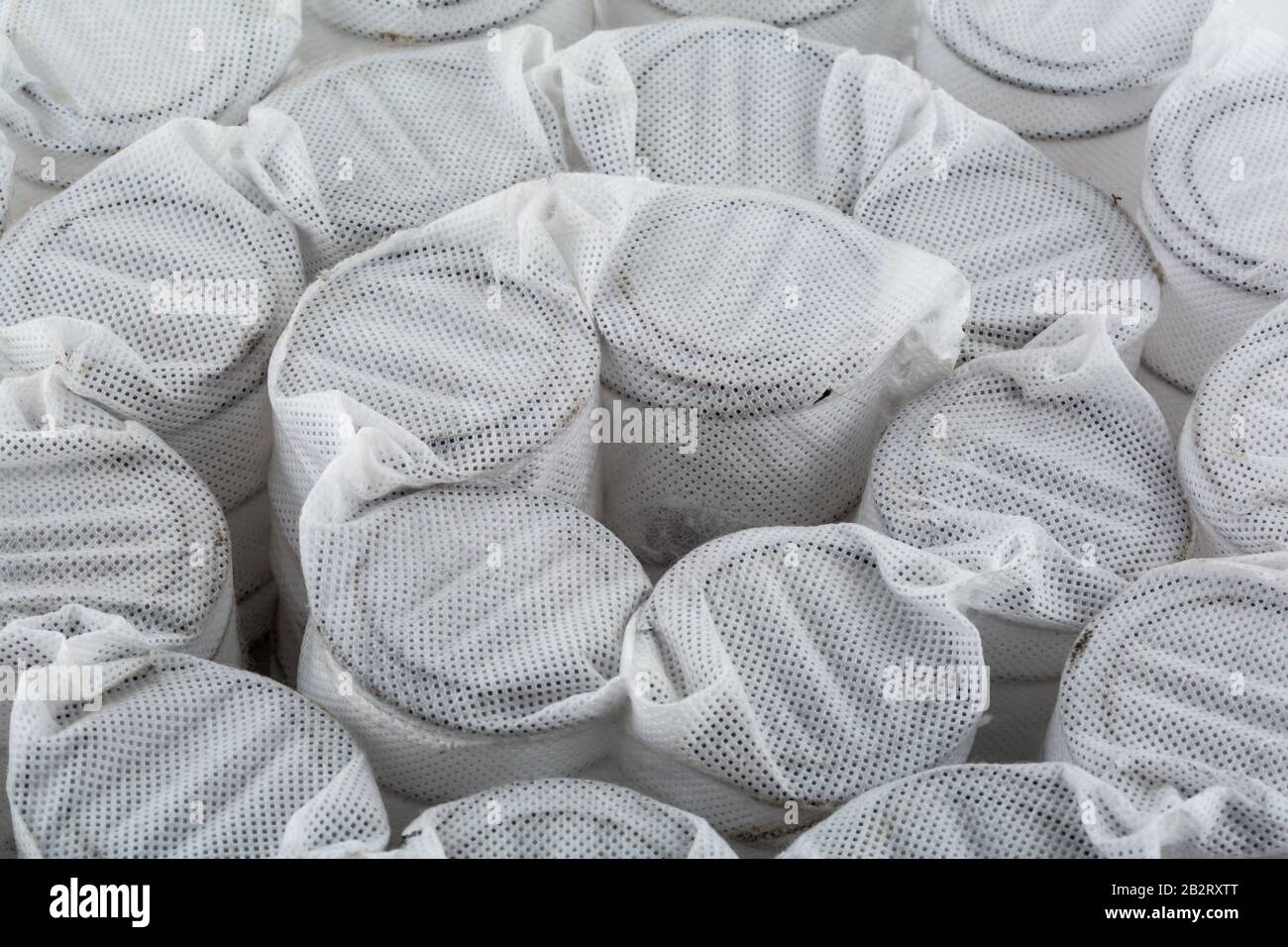 Independent mattress springs in spunbond Stock Photo Alamy