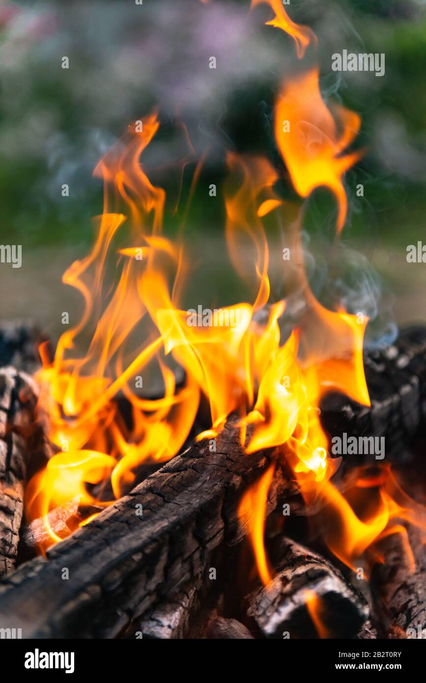 Burning fire. Flames with smoke rise up. Burning wood at close range. Stock Photo