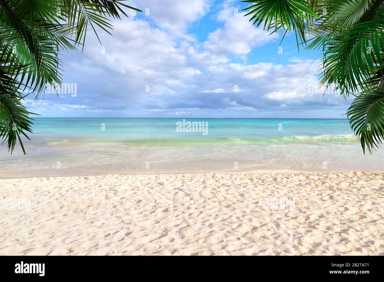 Sunny tropical beach background with sandy beach, clear sea waters and palm trees with copy space. Stock Photo