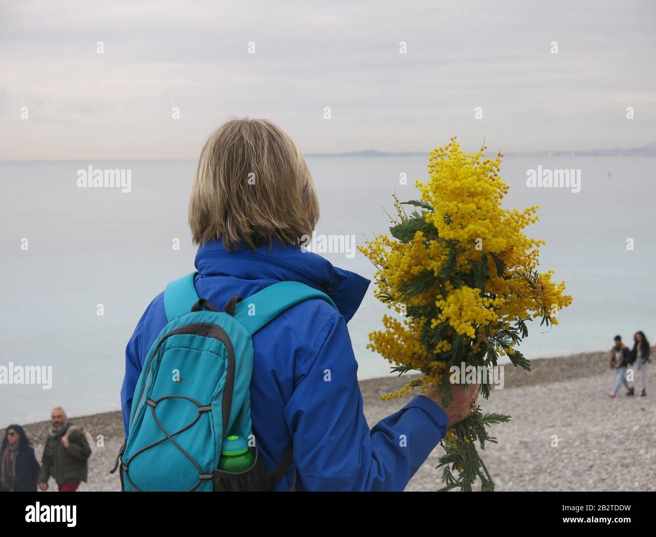 A woman stands looking out to sea whilst holding up a big bunch of yellow mimosa that was distributed after the cancellation of the Nice flower parade. Stock Photo