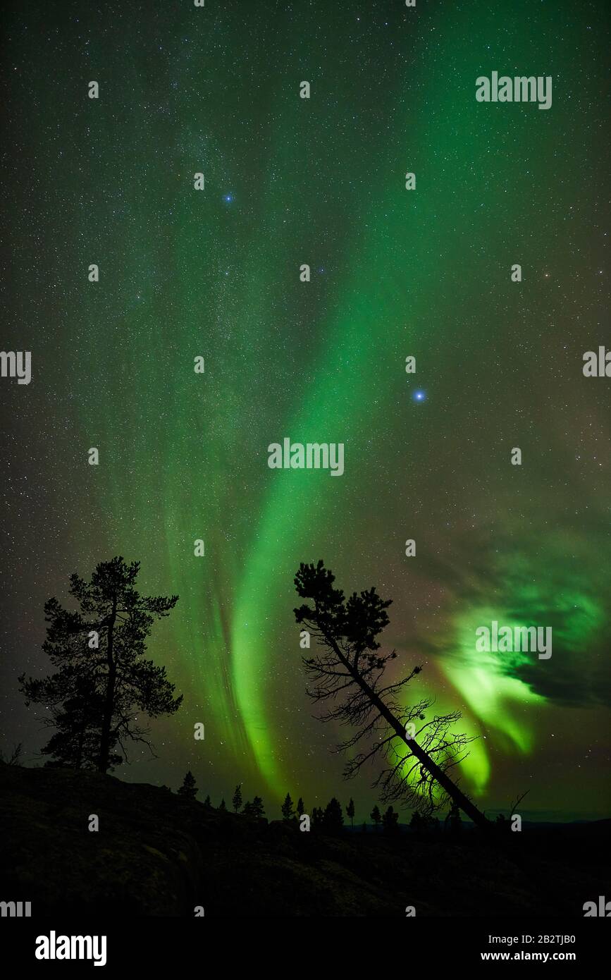 Nordlicht, Schwedisch-Lappland, Skandinavien Stock Photo