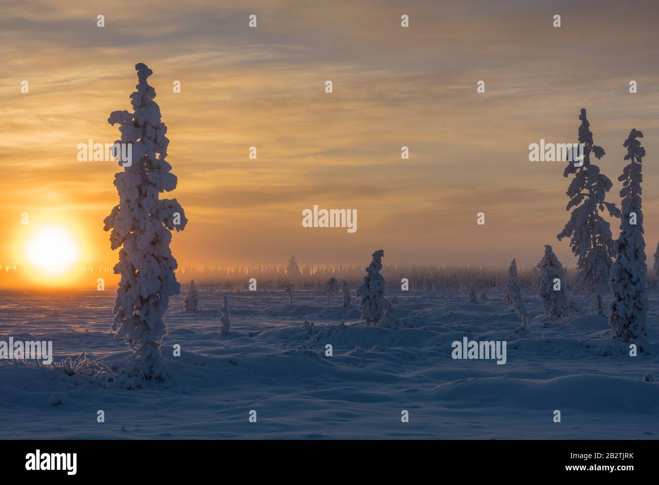 Landschaft im Gegenlicht, Schwedisch-Lappland, Skandinavien Stock Photo