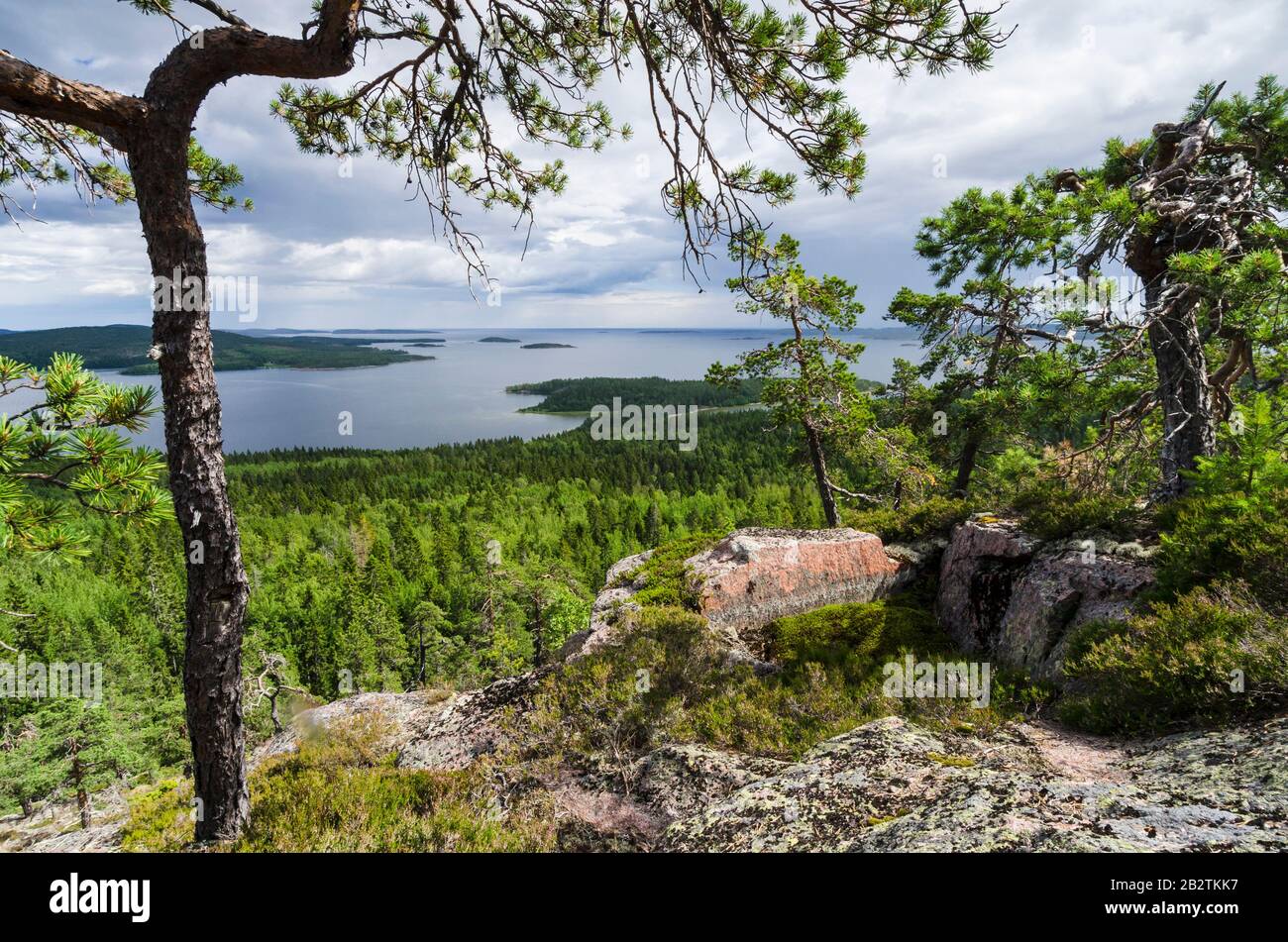 Landschaft am Bottnischen Meerbusen im Skuleskogen Nationalpark, Weltnaturerbe Hoega Kusten, Vaesternorrland, Schweden, Juli 2012 Stock Photo