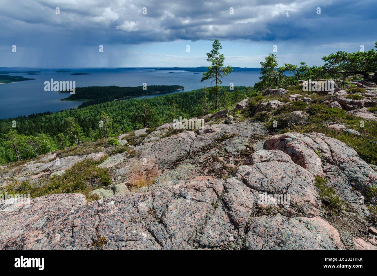 Regenschauer ueber dem Bottnischen Meerbusen, Skuleskogen Nationalpark, Weltnaturerbe Hoega Kusten, Vaesternorrland, Schweden, Juli 2012 Stock Photo
