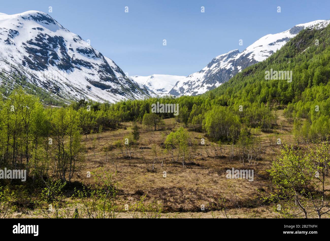 Landschaft im Gunnvordalen, Sogndal, Sogn og Fjordane Fylke, Norwegen, Mai 2012 Stock Photo