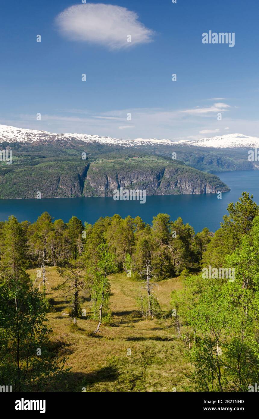 Innvikfjorden, Stryn, Sogn og Fjordane Fylke, Norwegen, Mai 2012 Stock Photo