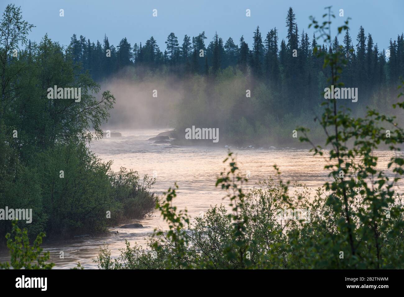 der Fluss Sjaunjaaedno (Sjaunjaaelven), Sjaunja Naturreservat, Welterbe Laponia, Norrbotten, Lappland, Schweden, Juni 2014 Stock Photo