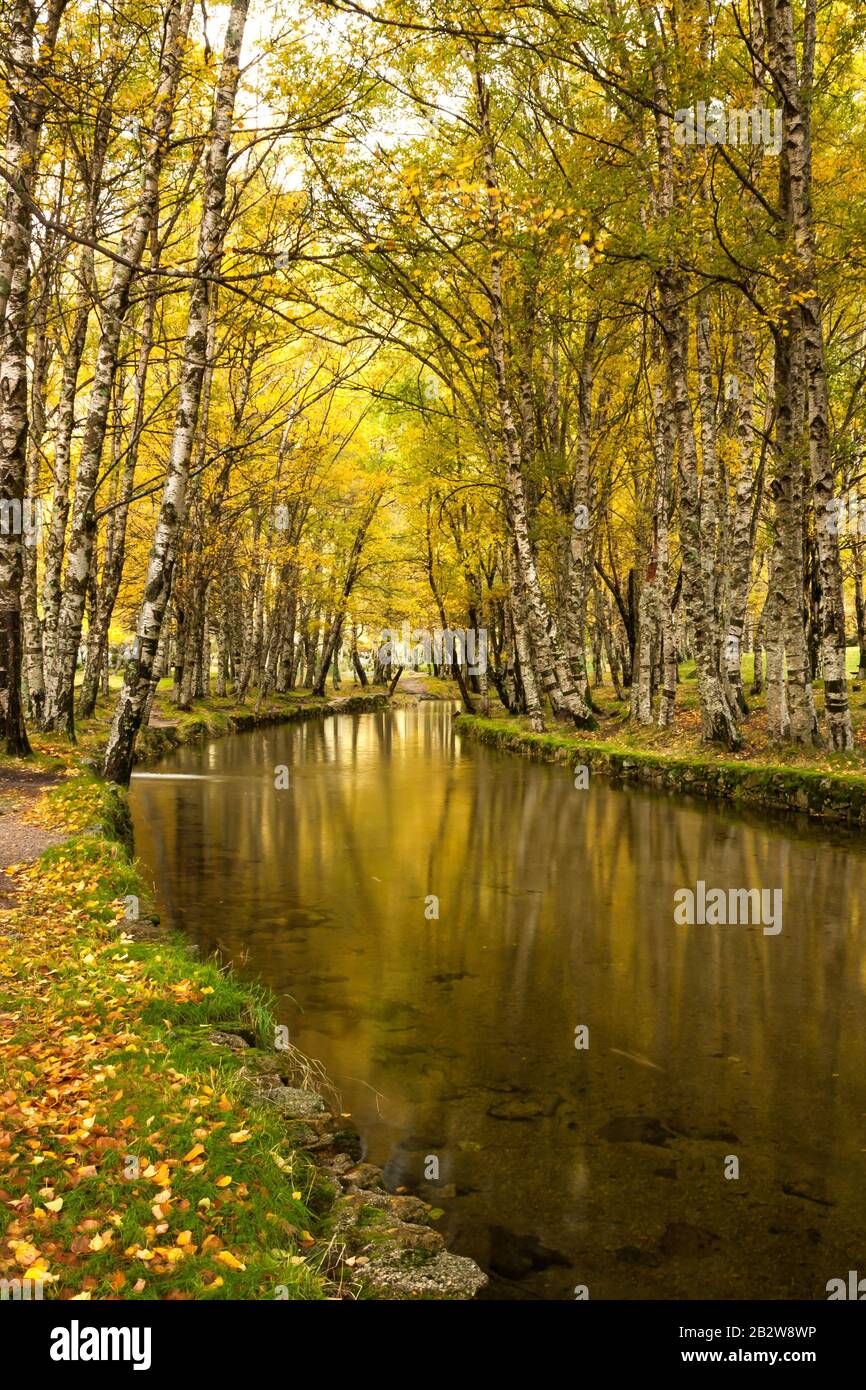 Autumn in Covão da Ametade, a touristic place in Serra da Estrela ...