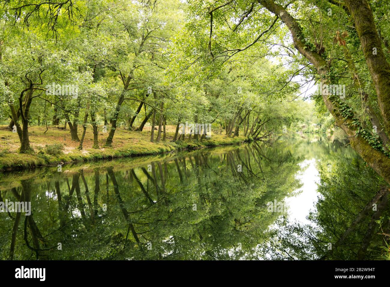 Rio vez hires stock photography and images Alamy