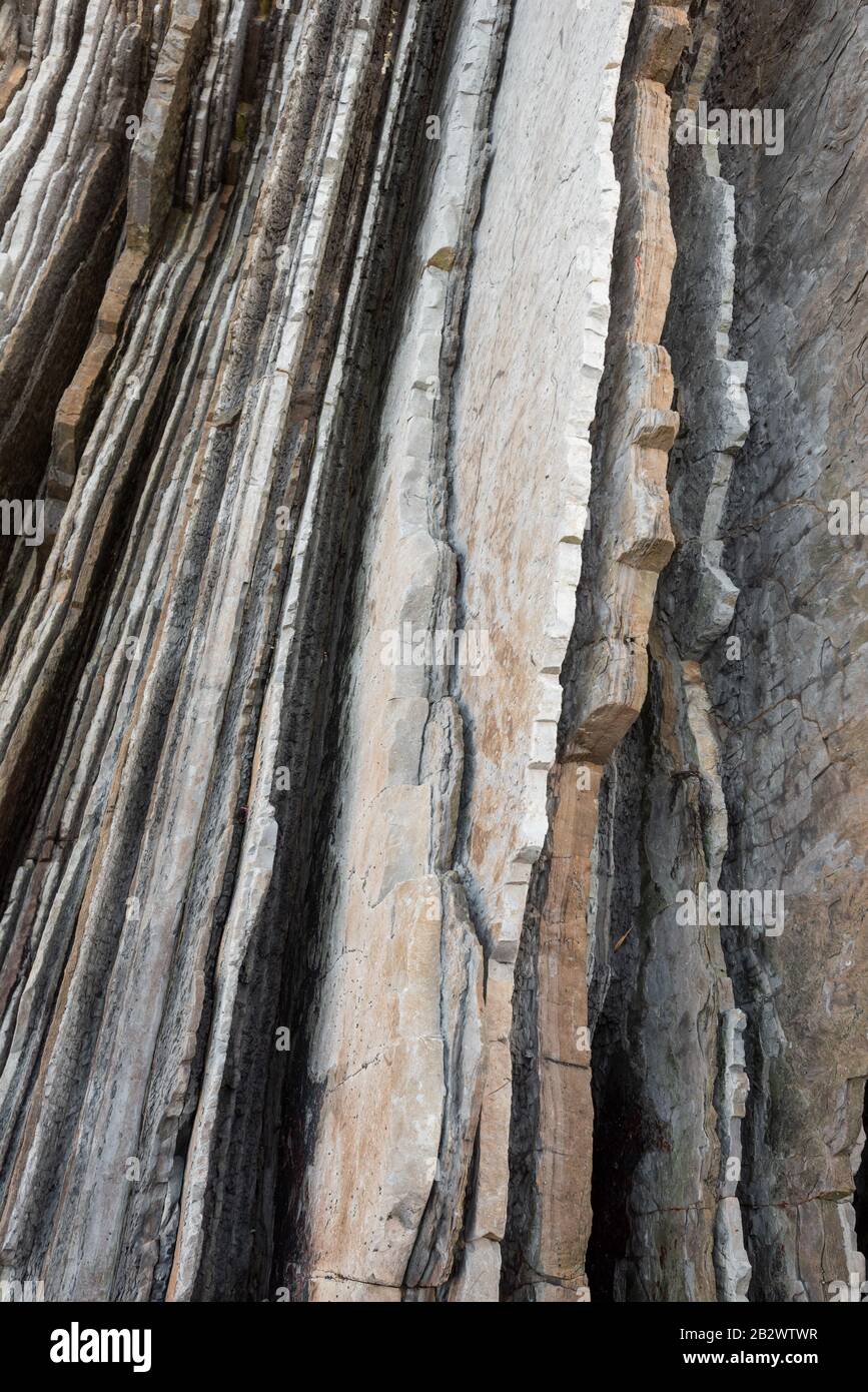 Basque Stone Texture Rock strata, geological texture background detail in Zumaia, Basque ...
