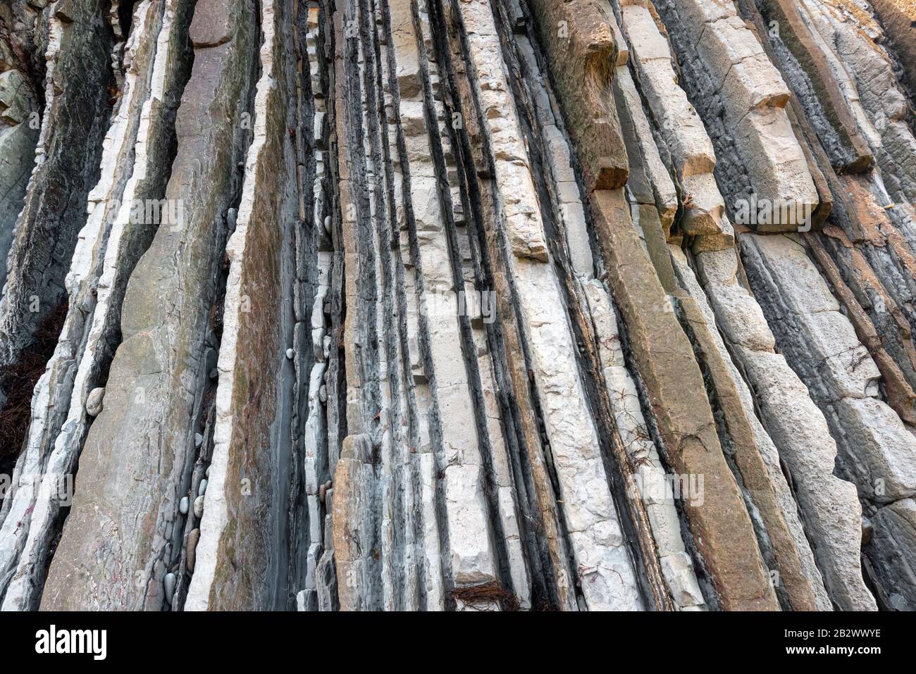 Basque Stone Texture Rock strata, geological texture background detail in Zumaia, Basque ...