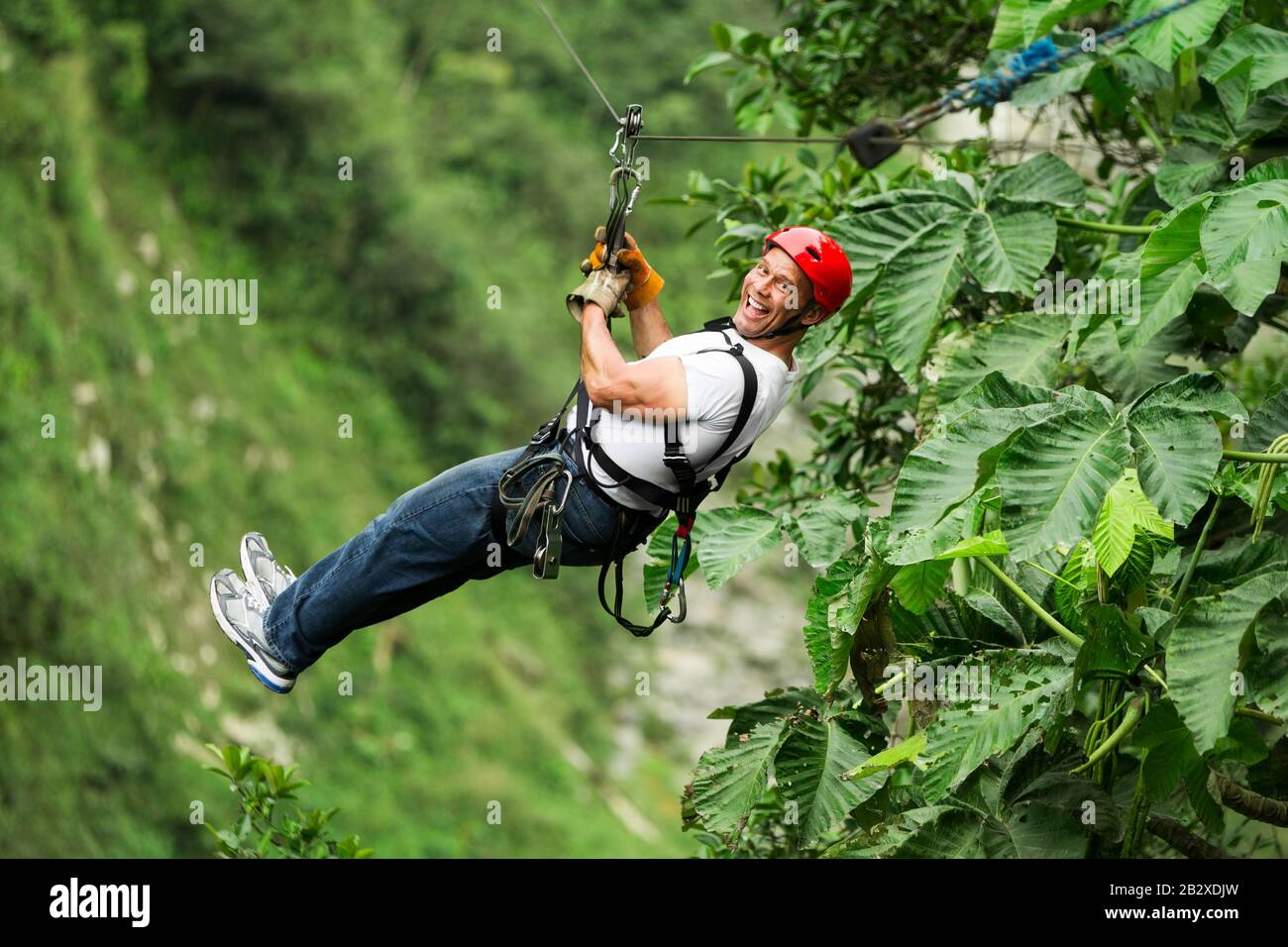 Adult Man On Zipline Stock Photo Alamy