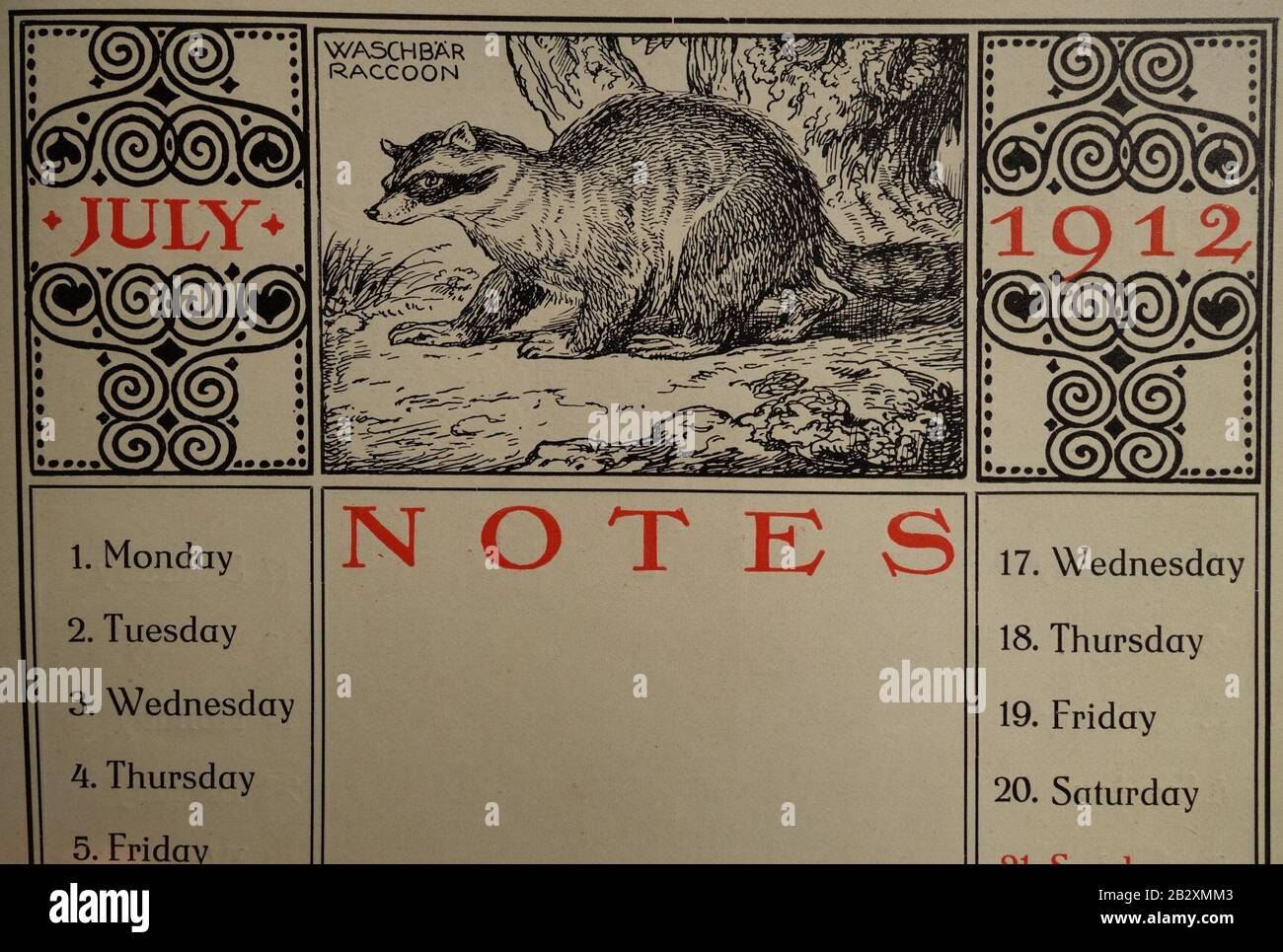 Gaudig & Blum, Leipzig, 1912 Jubilee Almanac (10) Waschbär, Raccoon. Stock Photo