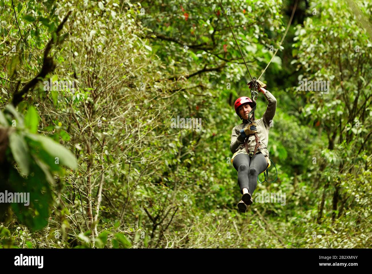 Zipline Adventure In Ecuadorian Rainforest Banos De Agua Santa Stock Photo