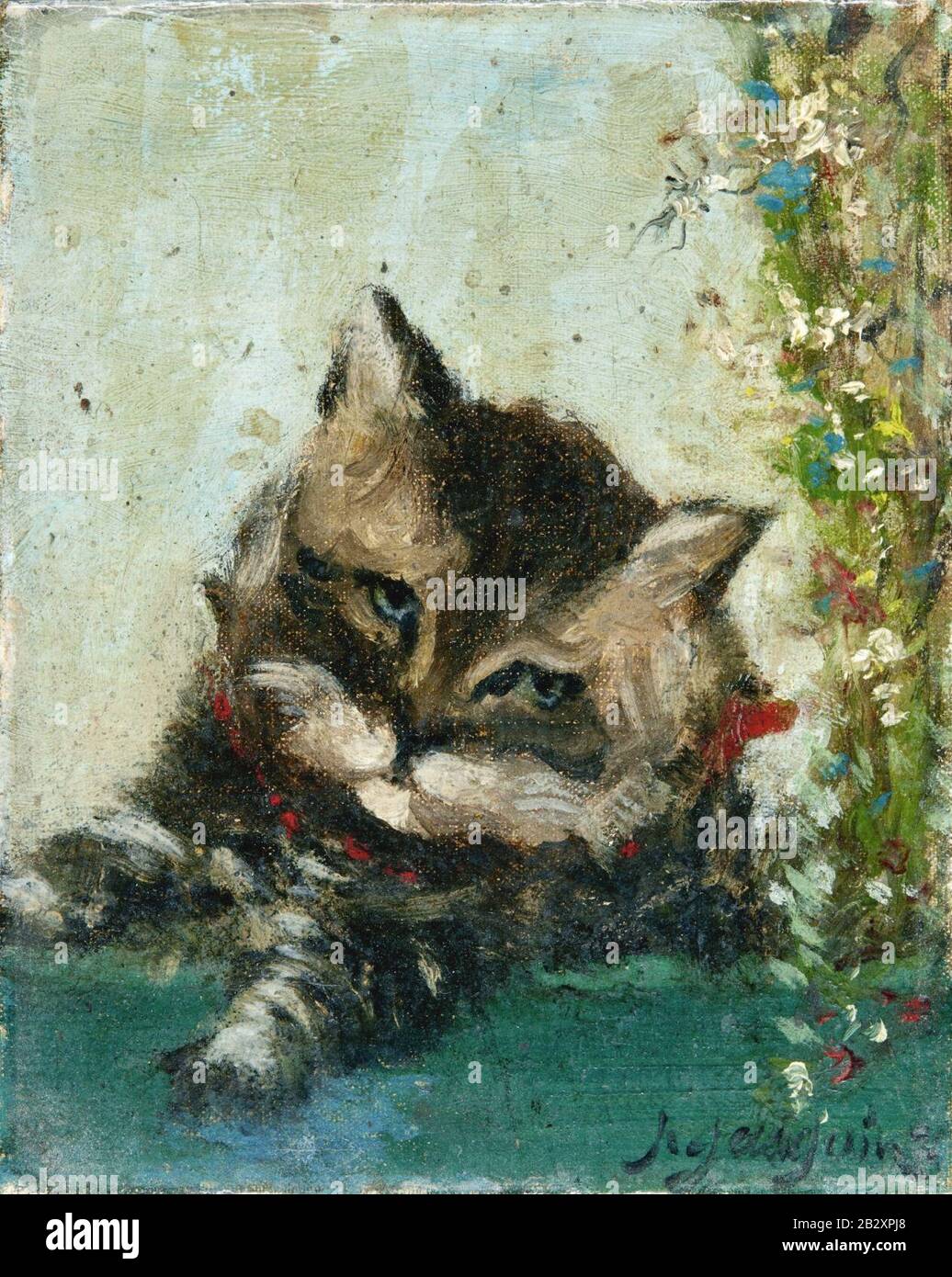 Tete De Chat High Resolution Stock Photography And Images Alamy