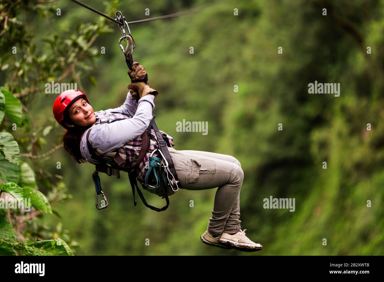 Adult Visitor Wear Casual Suit On Zip Line Trip Selective Focusing Against Fuzzy Forestry Stock Photo