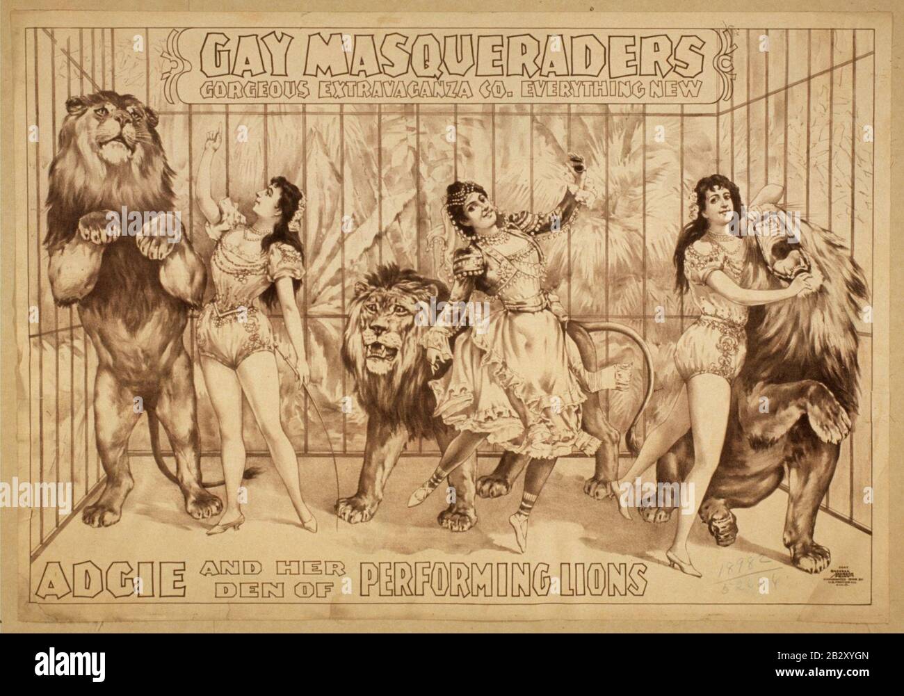 Gay Masqueraders Gorgeous Extravaganza Co. everything new. Stock Photo
