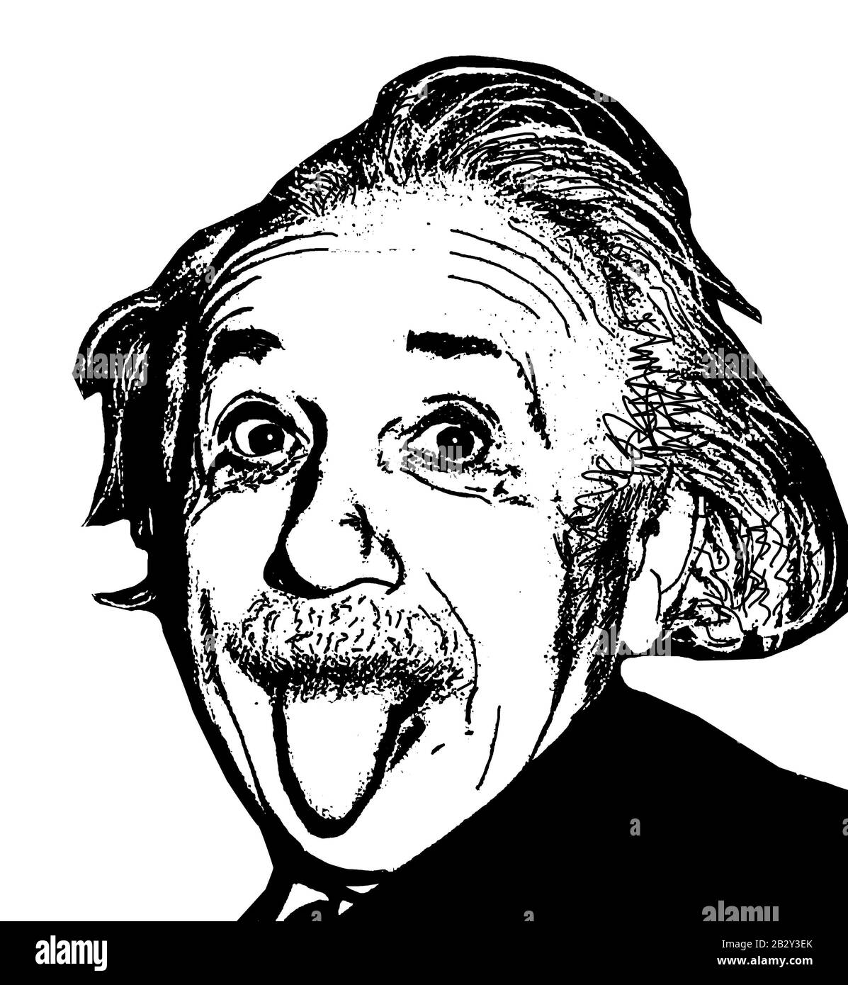 einstein clipart black and white hen