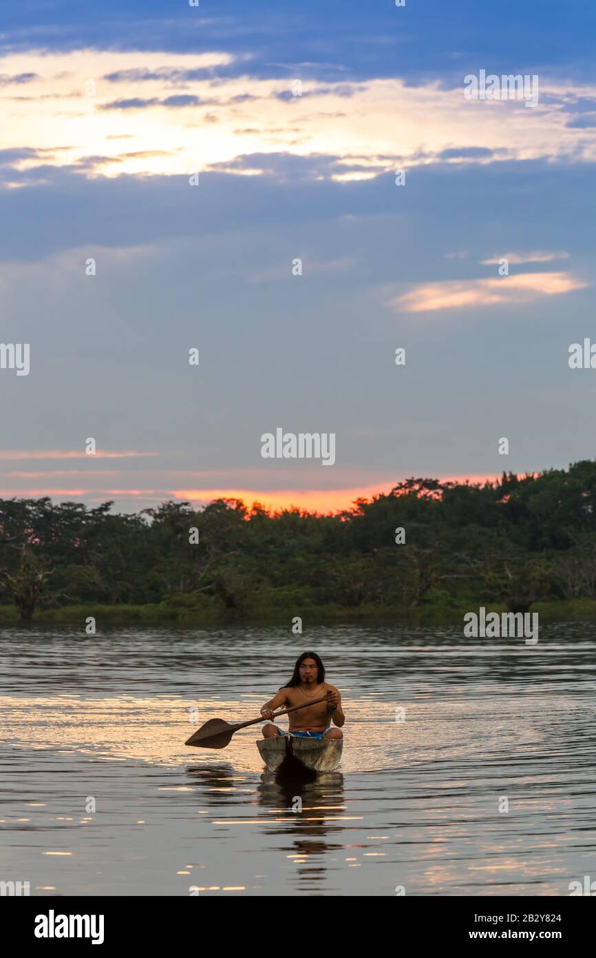 Indigens Mature Man With Kayak On Pond Grande Cuyabeno National Park Ecuador At Eve Model Released Stock Photo