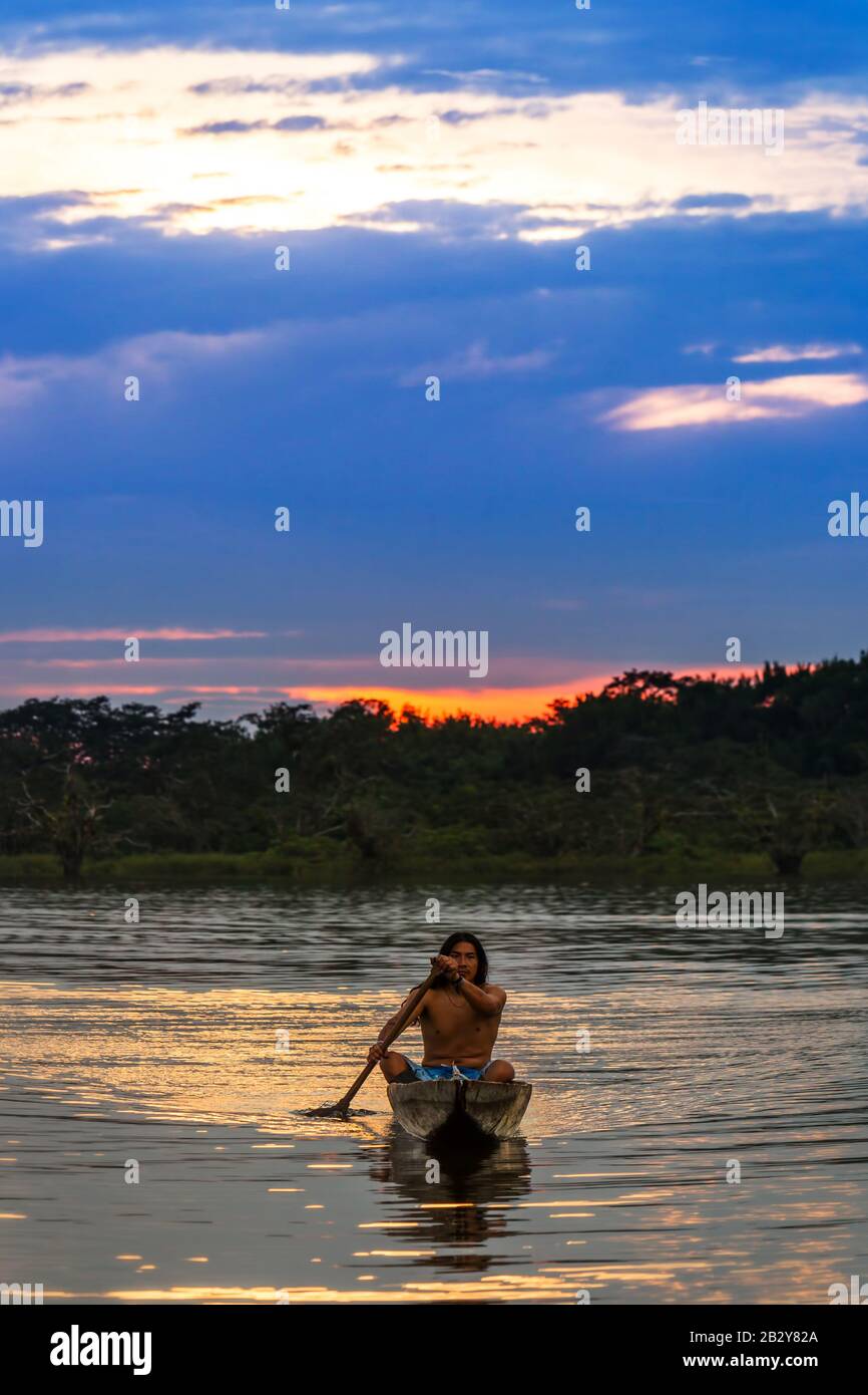 Aboriginal Mature Man With Boat On Reservoir Grande Cuyabeno National Park Ecuador At Eve Model Released Stock Photo