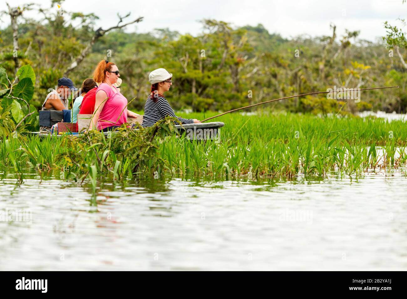 Pilgrim Hunting Legendary Piranha Catch In Ecuadorian Amazonian Primary Timber Stock Photo
