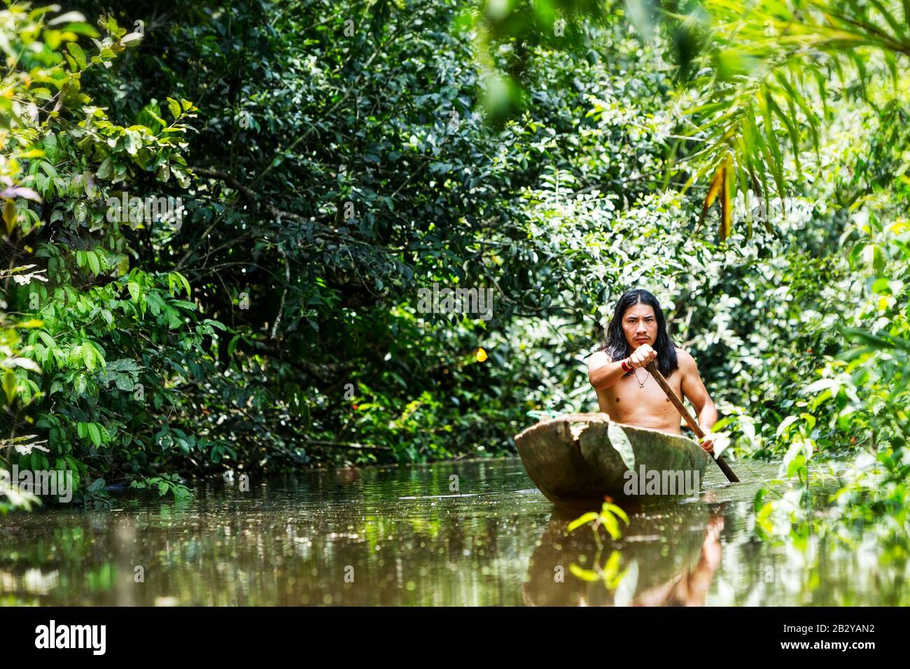 Native Adult Man On Symbolic Wooden Boat Sliced From A Single Timber Navigating Murky Waters Of Ecuadorian Amazonian Primary Jungle Stock Photo